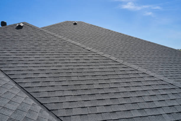 Best Gutter Replacement  in Rosenhayn, NJ